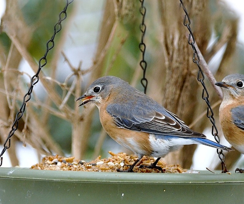 news-798-665 news-798-665