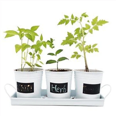 Hlau Herb Pots Round