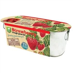 Qhov rai Los Ntawm Cov Khoom Siv Loj Loj