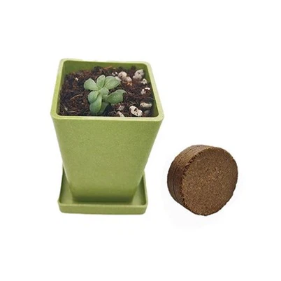 Mini Square Xyoob Fiber cog lauj kaub