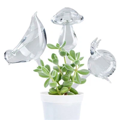 Noog, qwj, mushroom duab cov waterer