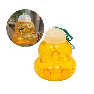 Wasp thiab hornet cuab